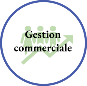 bouton gestion commerciale page accueil